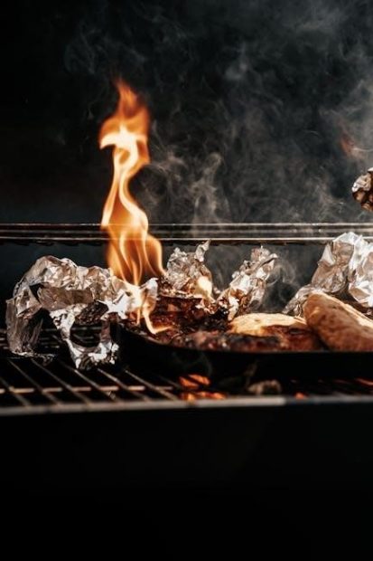 instruction manual for char broil grill